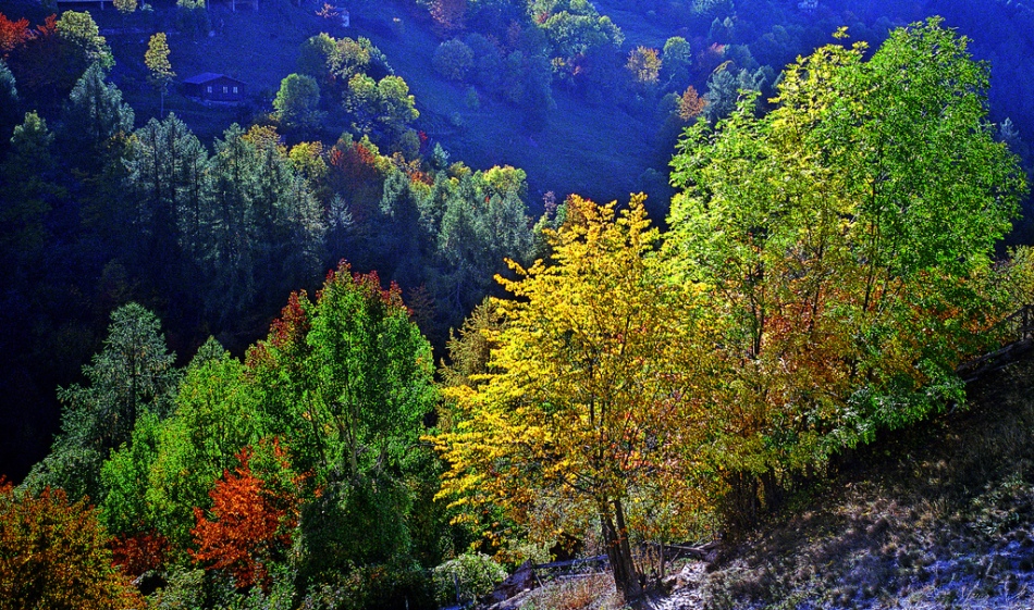 Herbst, Isérables, Kanton Walllis